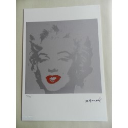 Andy Warhol Litografia ex. 125 cm 35x50