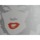 Andy Warhol Lithographie ex. 125 cm 35 x 50