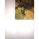 Vincent Van Gogh litografia cm 50x70 edizione Spadem con certificato