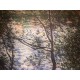 Claude Monet litografia cm 50x70 edizione Spadem