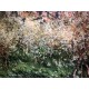 Claude Monet litografia cm 50x70 edizione Spadem