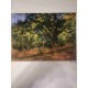 Claude Monet litografia cm 50x70 edizione Spadem