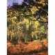 Claude Monet litografia cm 50x70 edizione Spadem