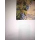 Claude Monet litografia cm 50x70 edizione Spadem