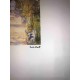 Claude Monet litografia cm 50x70 edizione Spadem