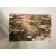 Claude Monet litografia cm 50x70 edizione Spadem