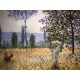 Claude Monet litografia cm 50x70 edizione Spadem