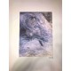 Claude Monet litografia cm 50x70 edizione Spadem