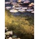 Claude Monet litografia cm 50x70 edizione Spadem