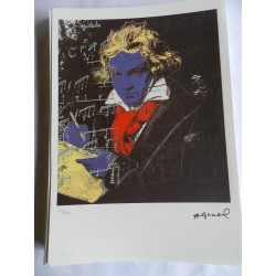 Andy Warhol Litografia ex. 125 cm 35x50