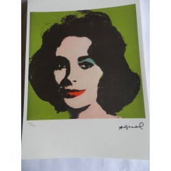 Andy Warhol Lithographie ex. 125 cm 35 x 50