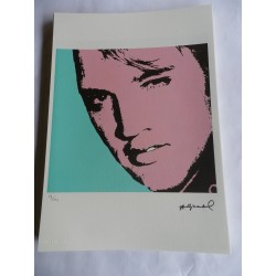 Andy Warhol Lithographie ex. 125 cm 35 x 50