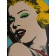 Andy Warhol Litografia ex. 125 cm 35x50