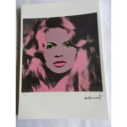 Andy Warhol Litografia ex. 125 cm 35x50