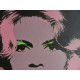 Andy Warhol Litografia ex. 125 cm 35x50