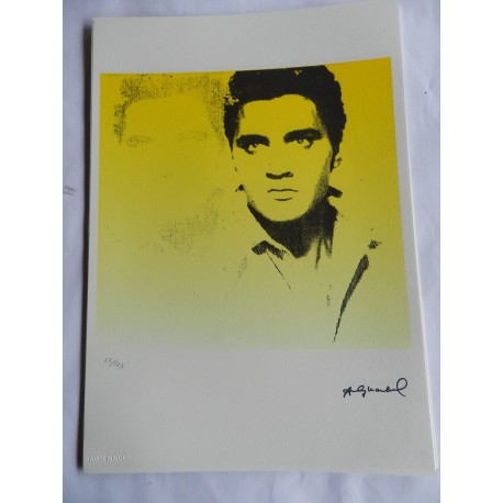 Andy Warhol Lithographie ex. 125 cm 35 x 50