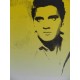 Andy Warhol Litografia ex. 125 cm 35x50