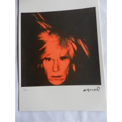 Andy Warhol Litografia ex. 125 cm 35x50