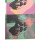 Andy Warhol Litografia cm 57x38 Leo Castelli  - GEORGES ISTRAEL EDITEUR