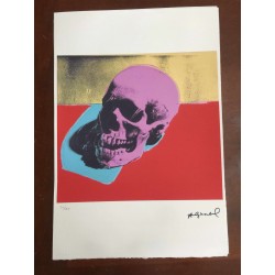 Andy Warhol Litografia cm 57x38 Leo Castelli  - GEORGES ISTRAEL EDITEUR